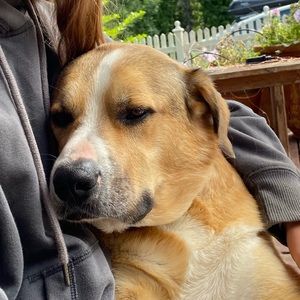 Meet your Posher, Mallory